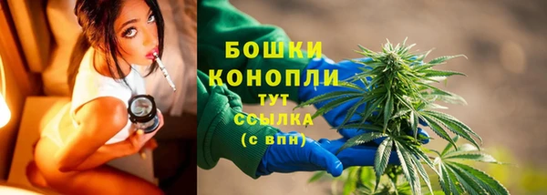 2c-b Снежногорск